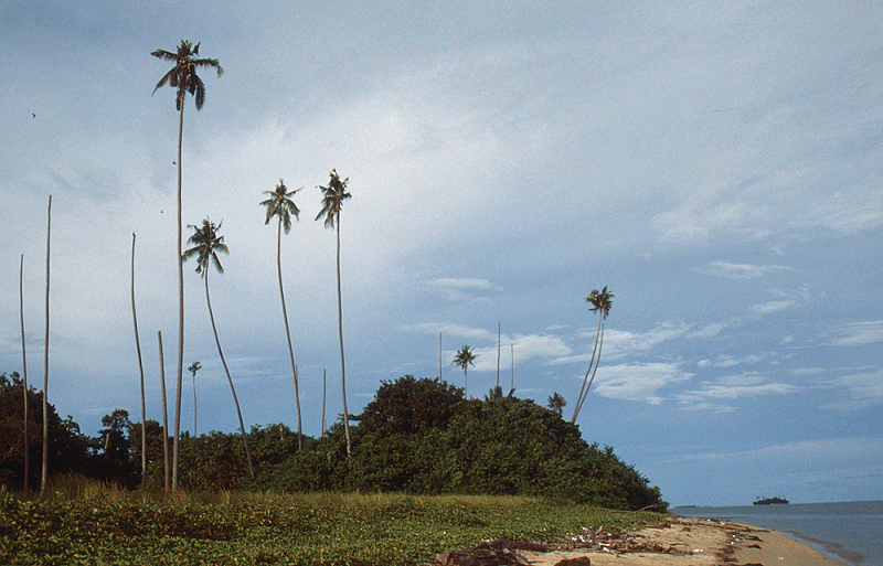 821_Op Pulau Libaran, Sabah.jpg